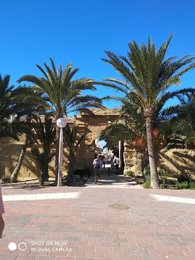 Residencial El Pinet Beach La Marina Exterior photo